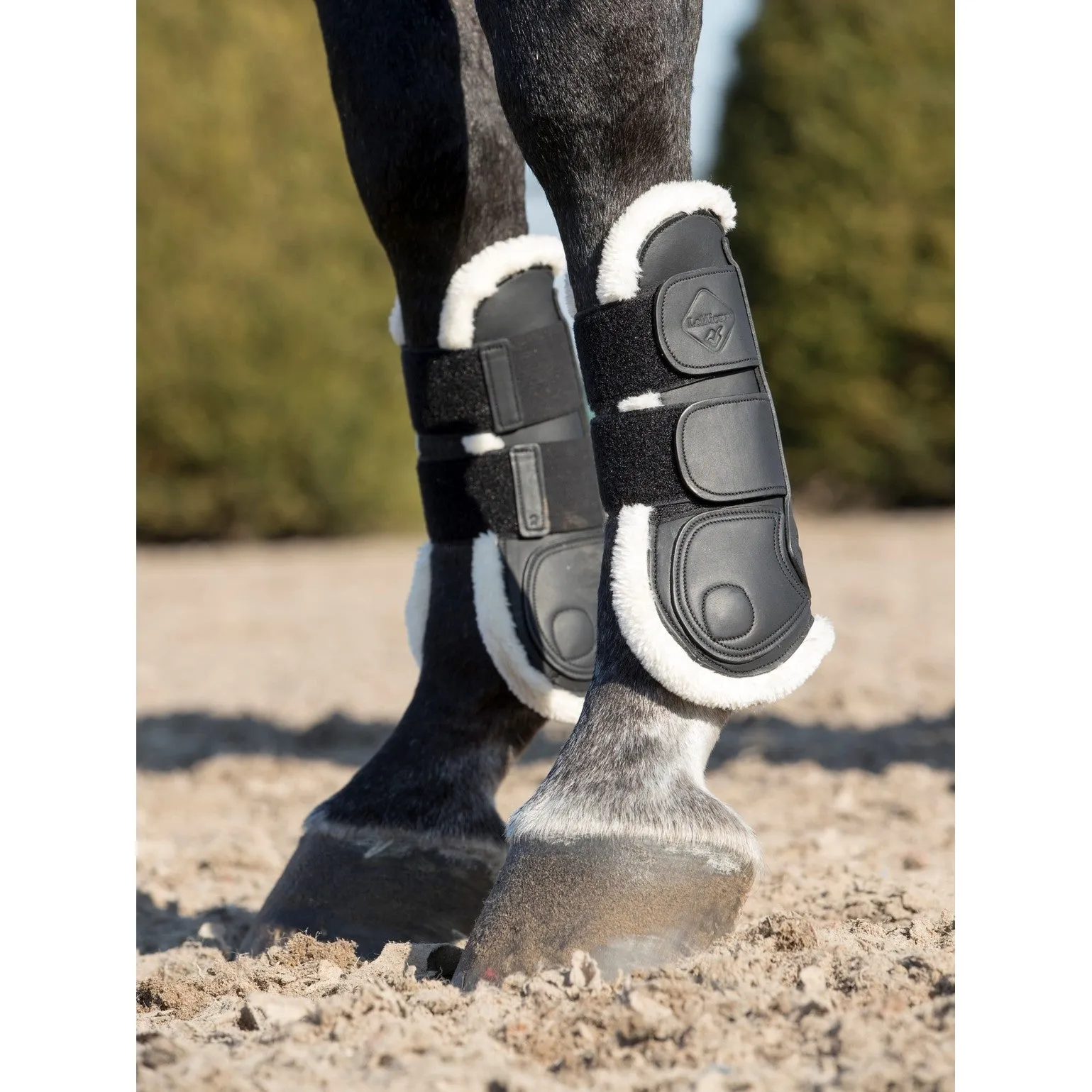 LeMieux Capella Comfort Jumping Boots
