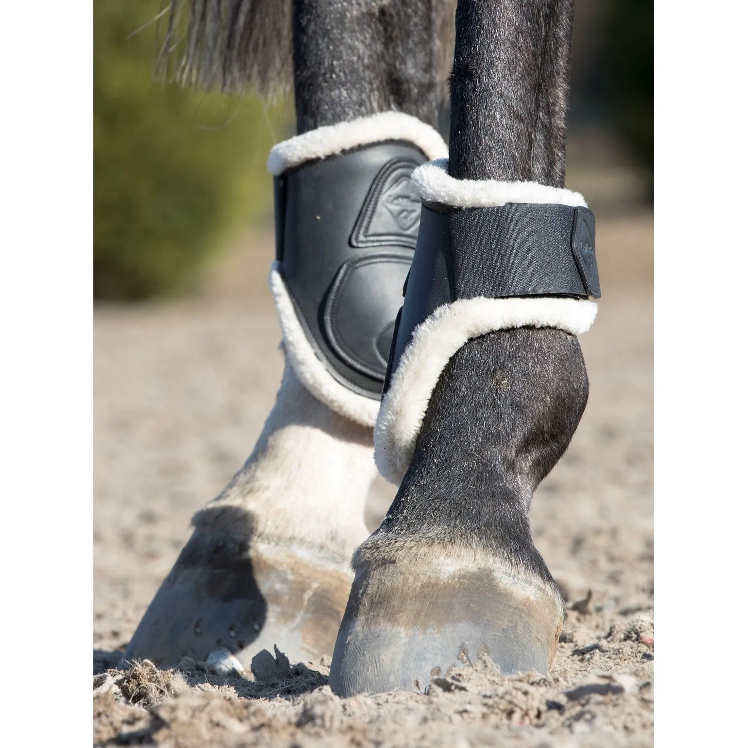 LeMieux Capella Comfort Jumping Boots